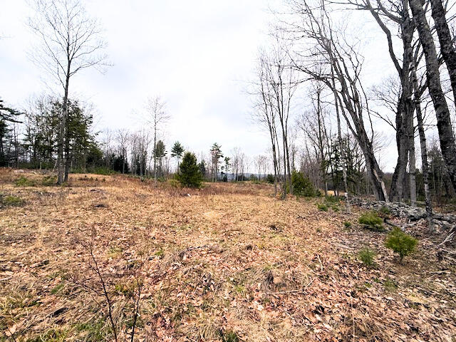 R2 Map Road Limington, ME 04049 - Photo 8 of 9 IMG_1632