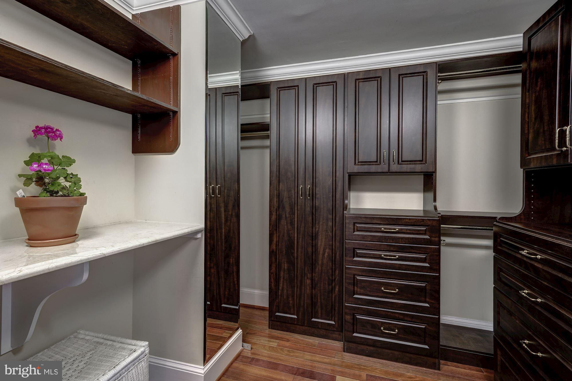 1101 South Arlington Ridge Road, Unit 515 Arlington, VA 22202 - Photo 20 of 36 Primary Suite Closet