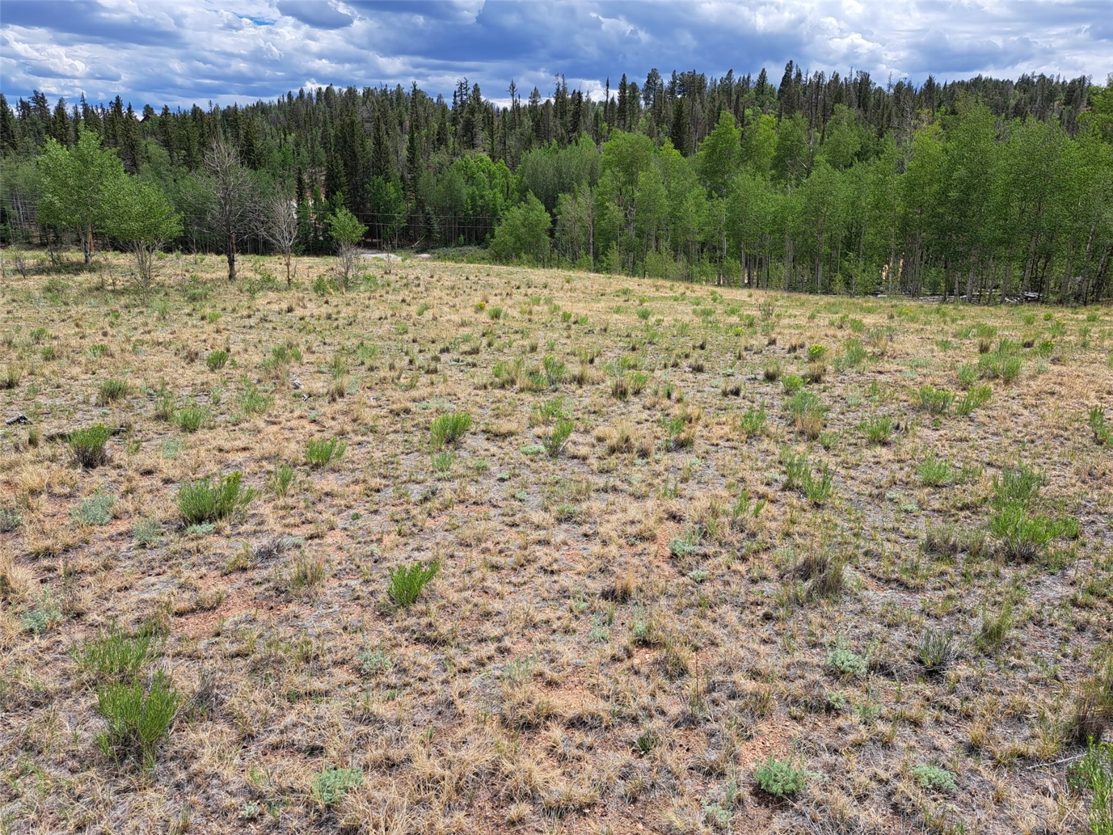 6242 Remington Road Como, CO 80432 - Photo 22 of 26 Gallery Image 22