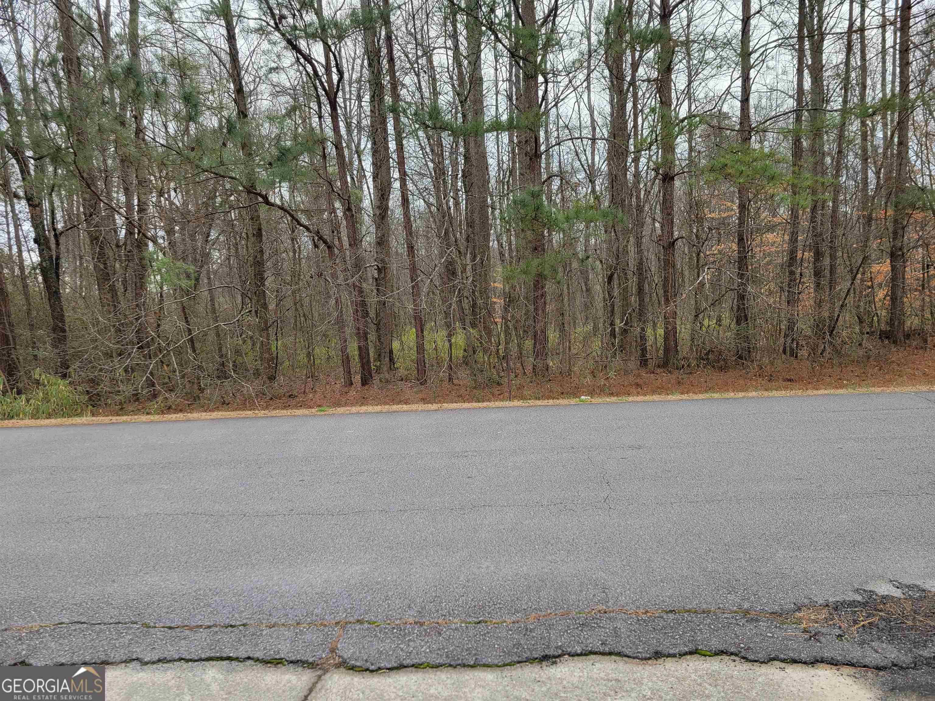 0 Lakeridge Drive Temple, GA 30179 - Photo 3 of 6 a view of a yard