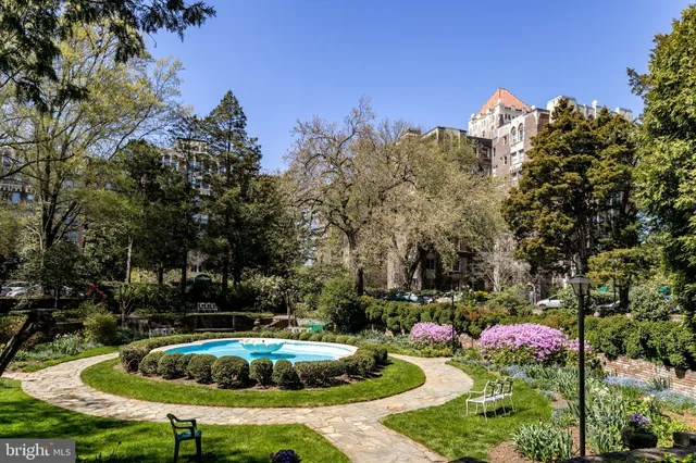 a swimming pool with plants and trees in the background