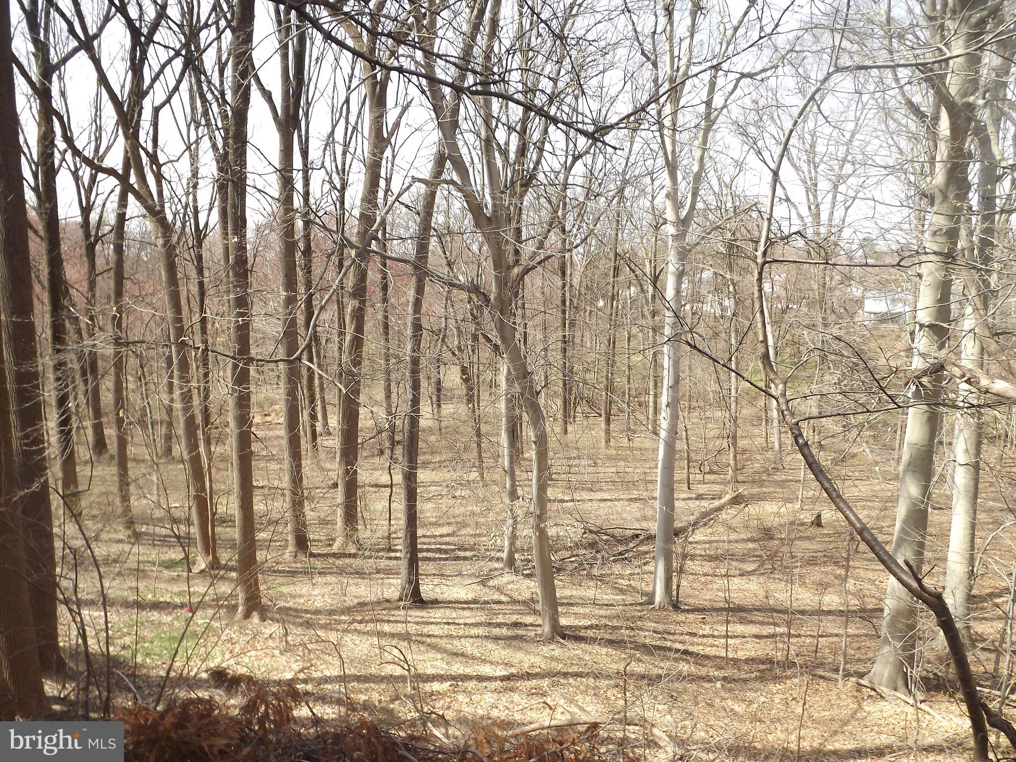 9112 Springview Road Philadelphia, PA 19115 - Photo 3 of 39 Gallery Image 3