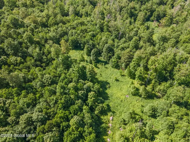 $69,900 | L4 Harvish Road, Stamford, NY 12167