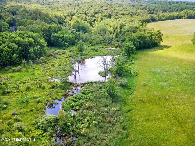 $69,900 | L4 Harvish Road, Stamford, NY 12167