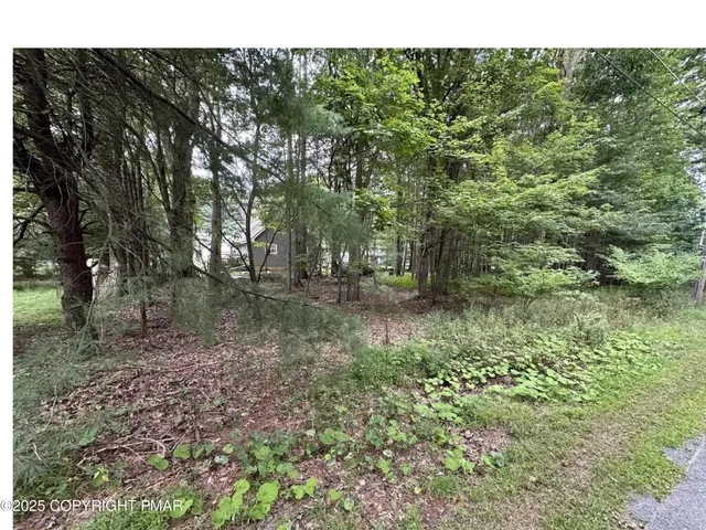 a view of outdoor space with trees all around