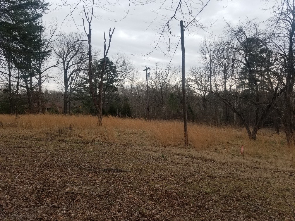 4 Cumberland Heights Road Clarksville, TN 37040 - Photo 2 of 3 Gallery Image 2