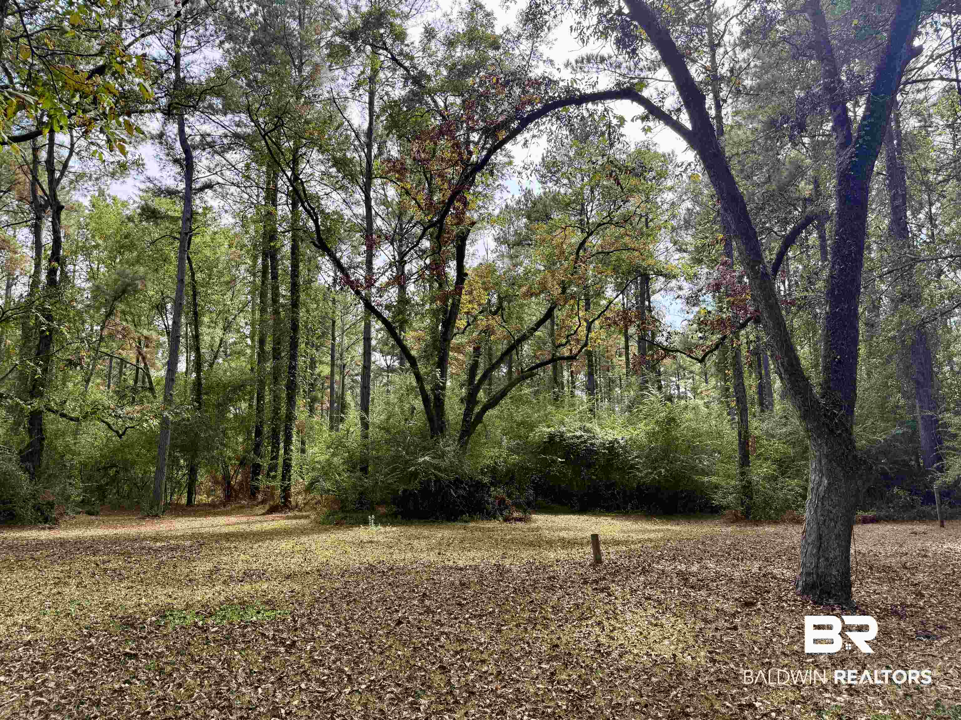 826 West Side Road Castleberry, AL 36432 - Photo 10 of 34 View of yard