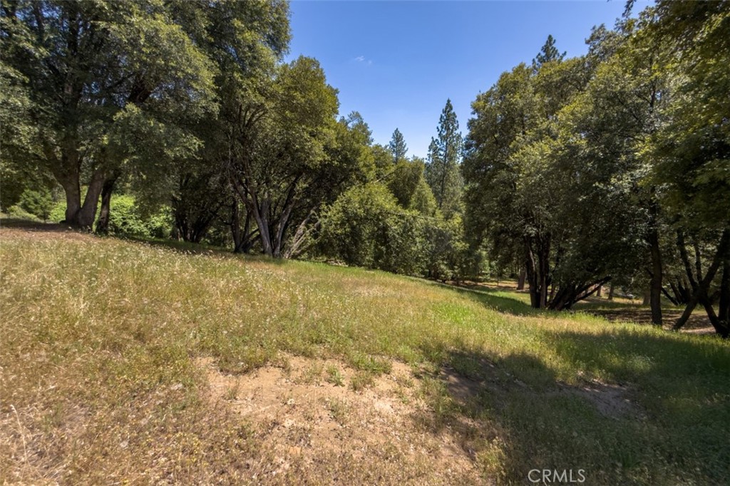 2397 Parmabelle Road Mariposa, CA 95338 - Photo 13 of 34 a view of swimming pool with trees