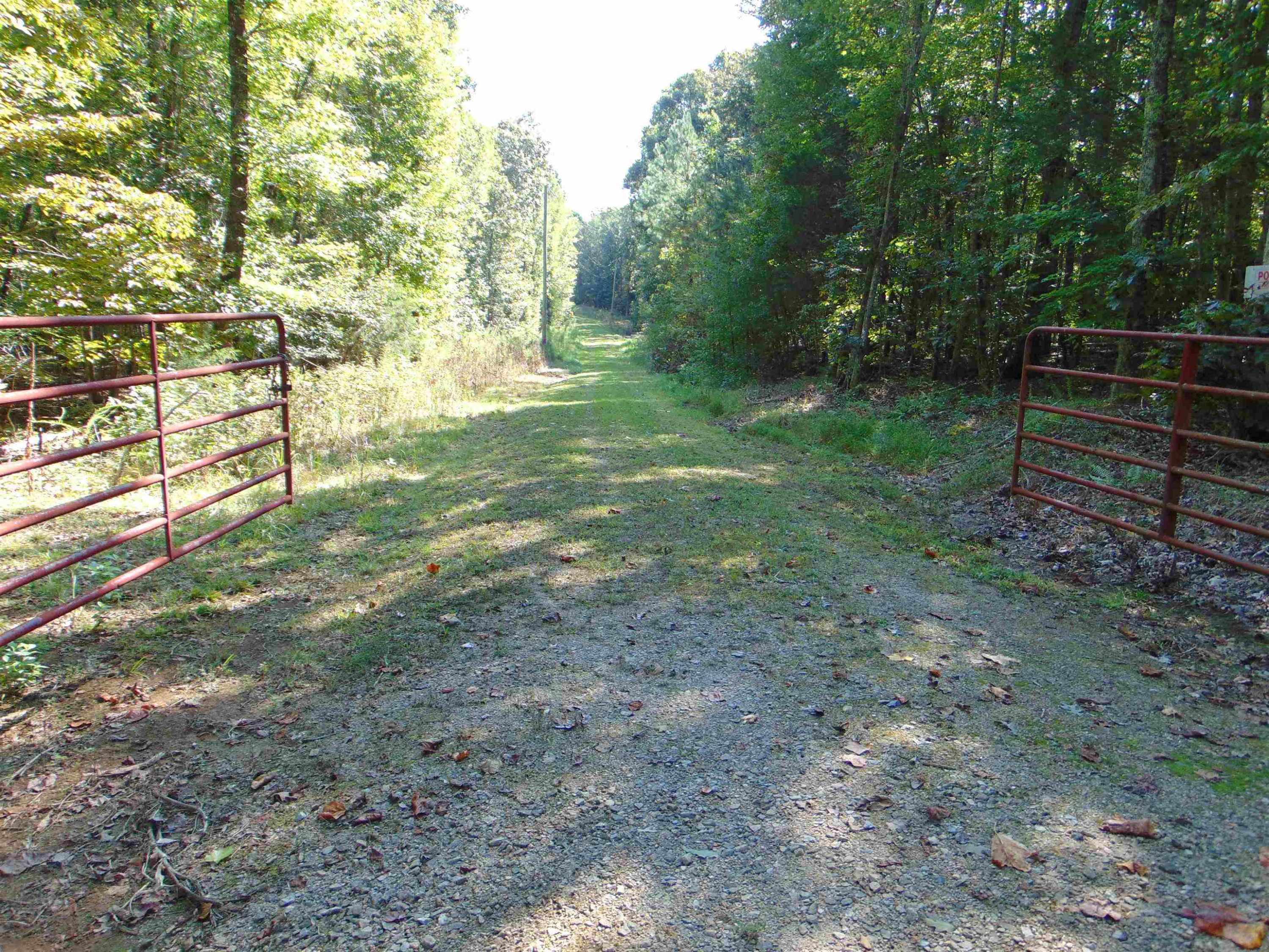 Noel Tuck Road Oxford, NC 27565 - Photo 4 of 34 Photo 4