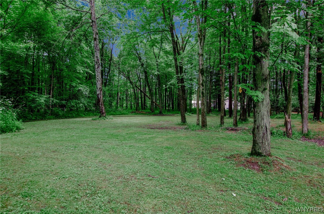 450 North Star Road Elma, NY 14052 - Photo 33 of 50