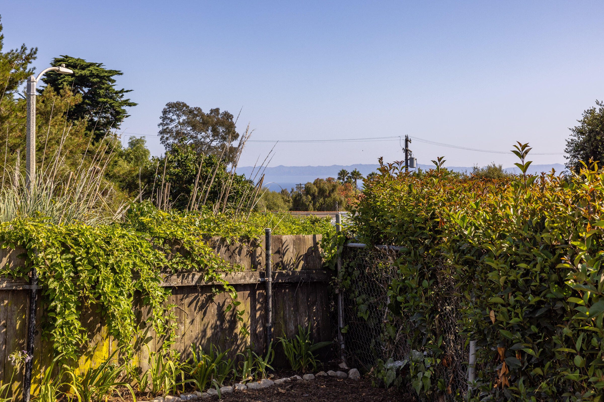 510 Meigs Road Santa Barbara, CA 93109 - Photo 22 of 27 510 Meigs_0009