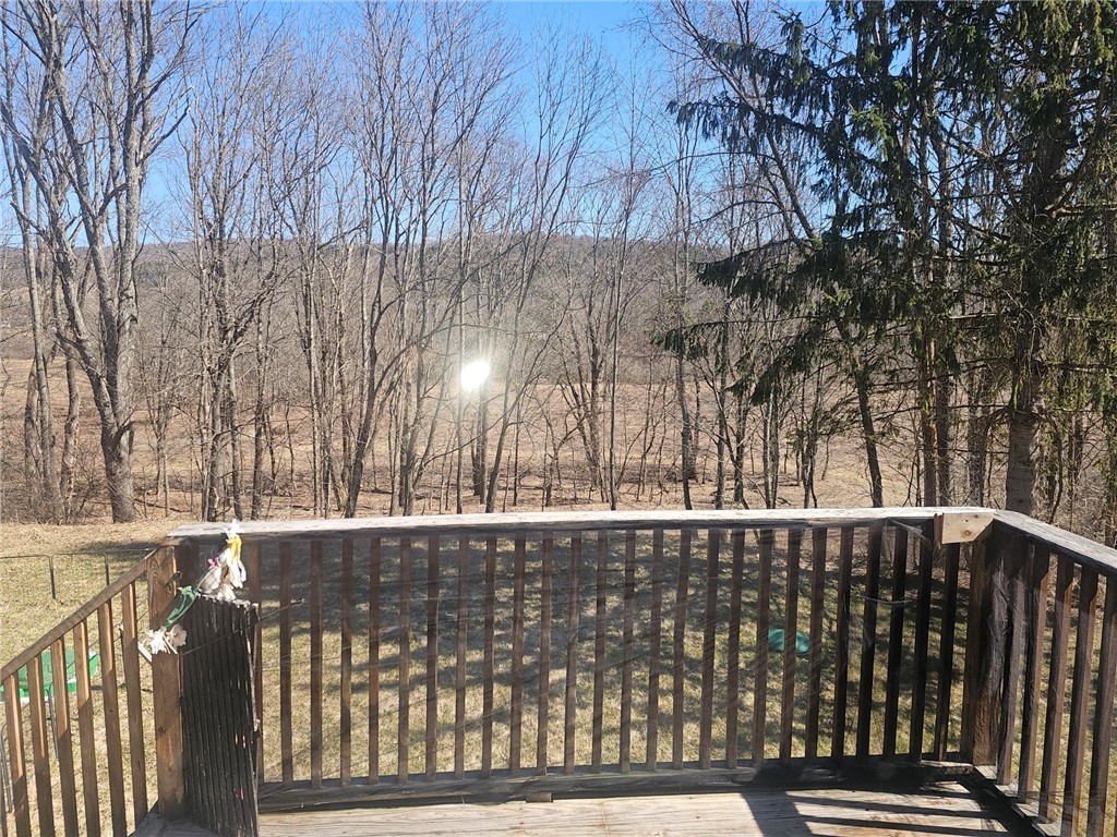 2968 County Highway Hartwick, NY 13348 - Photo 14 of 28 Apt 1 deck