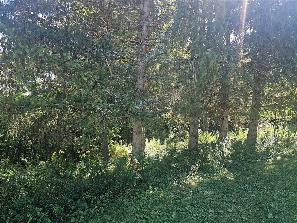 2968 County Highway Hartwick, NY 13348 - Photo 23 of 28