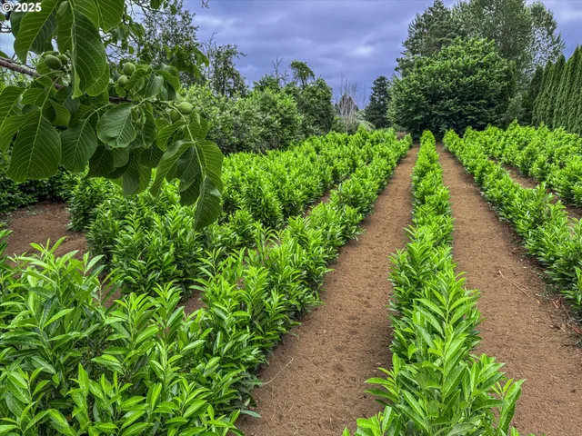 $749,950 | 7008 Southeast 302nd Avenue, Gresham, OR 97080