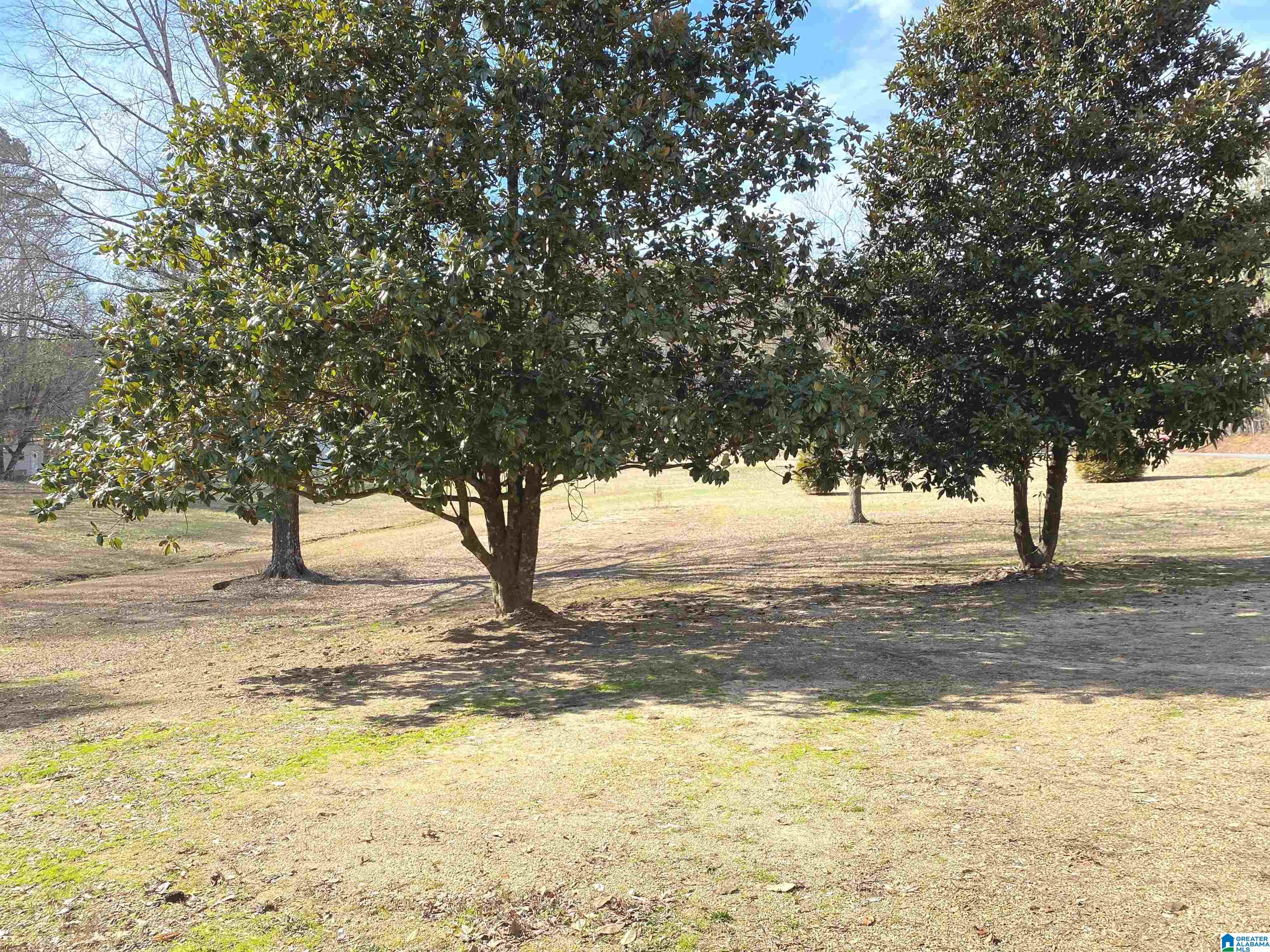 62 Curt Jarret Road Ashville, AL 35953 - Photo 20 of 77