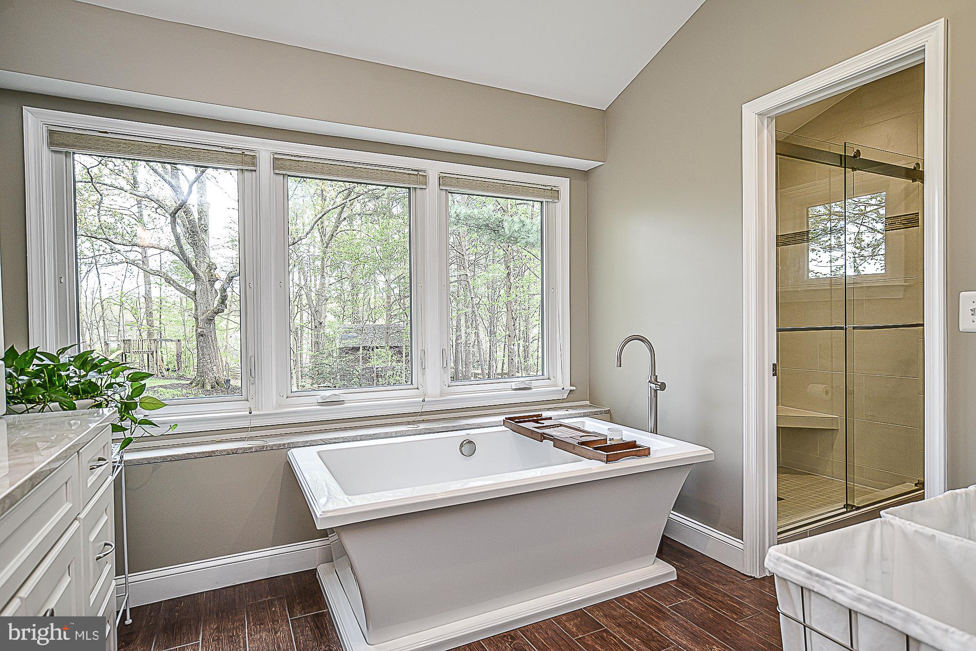 9291 Davis Drive Lorton, VA 22079 - Photo 27 of 57 Free standing soaking tub