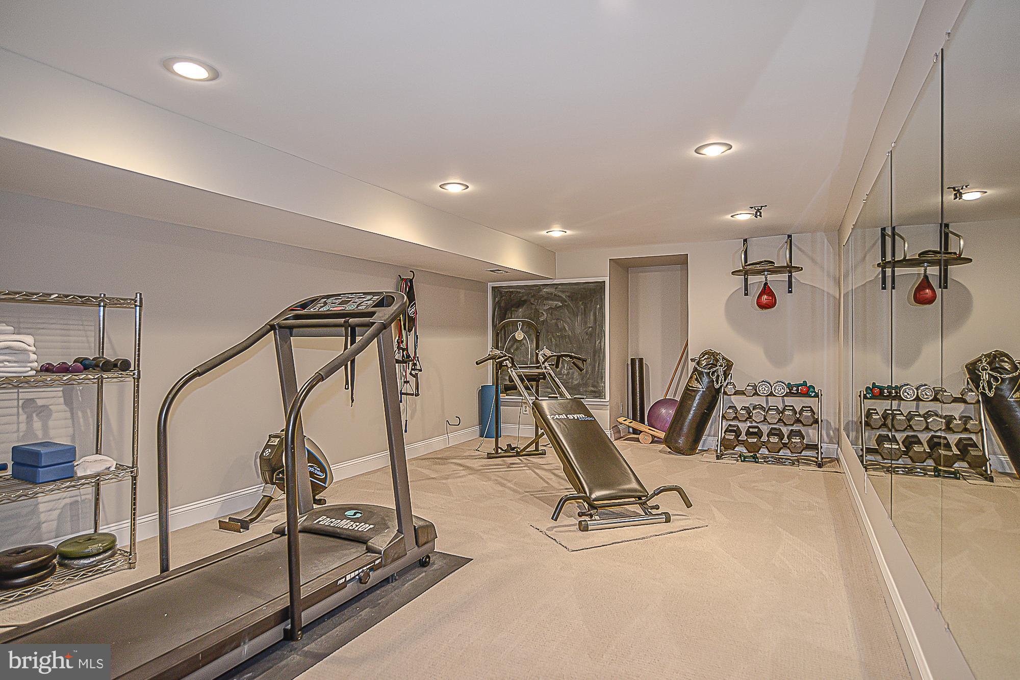 9291 Davis Drive Lorton, VA 22079 - Photo 38 of 57 Incredible home gym