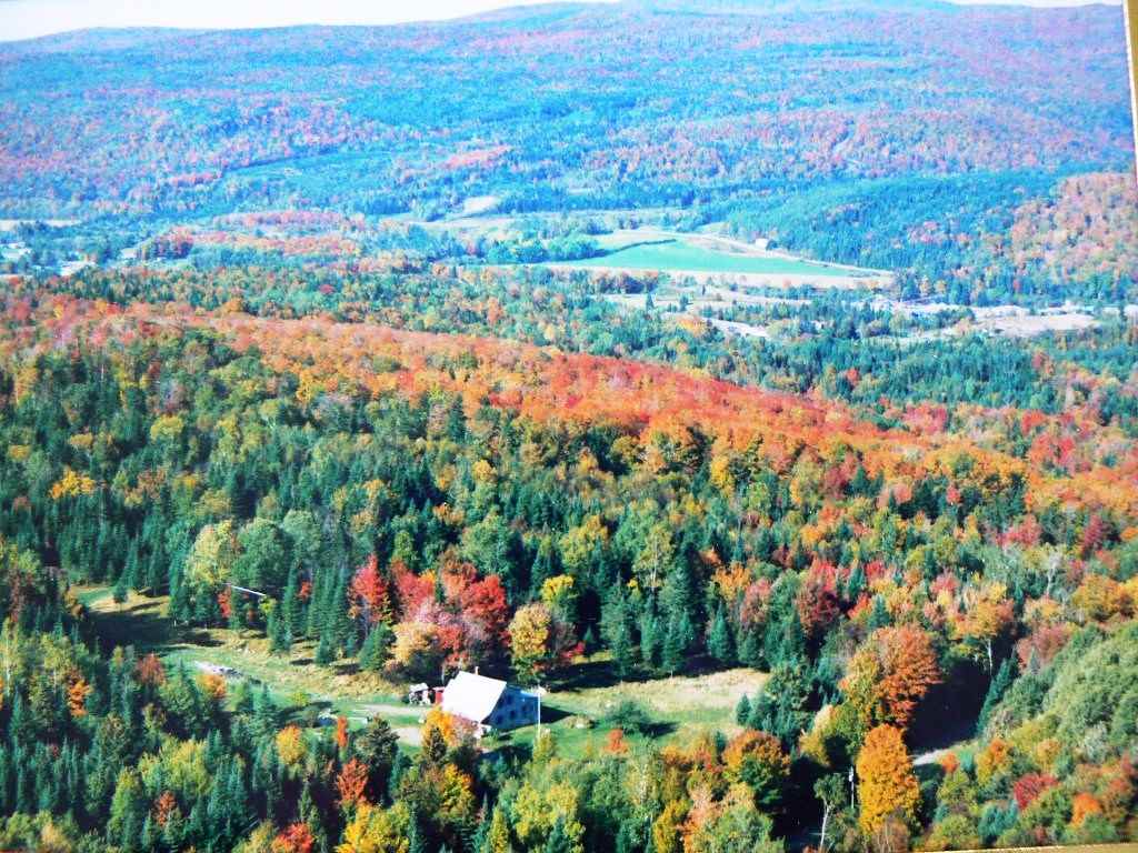 154 Jordan Hill Road Columbia, NH 03590 - Photo 5 of 36