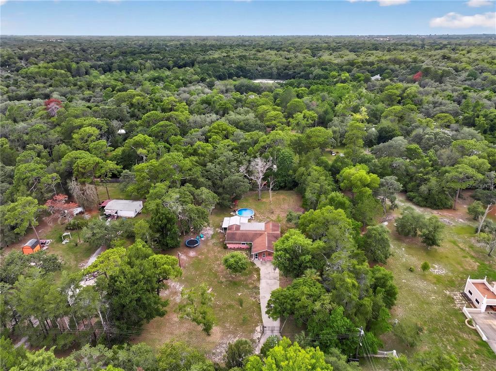 13129 Filbert Street Hudson, FL 34669 - Photo 52 of 59