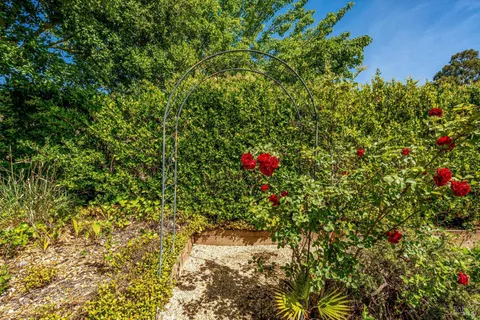 $1,650,000 | 1116 Pinewood Drive, Napa, CA 94558