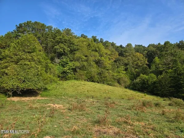 $568,700 | Tbd East Pumpkin Valley Road, Eidson, TN 37731