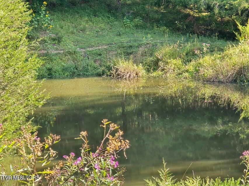Tbd East Pumpkin Valley Road Eidson, TN 37731 - Photo 12 of 54 10