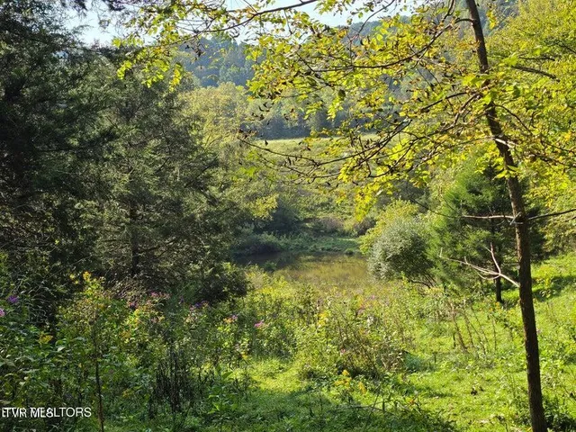 $568,700 | Tbd East Pumpkin Valley Road, Eidson, TN 37731