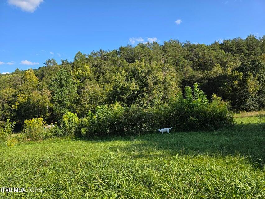 Tbd East Pumpkin Valley Road Eidson, TN 37731 - Photo 15 of 54 15