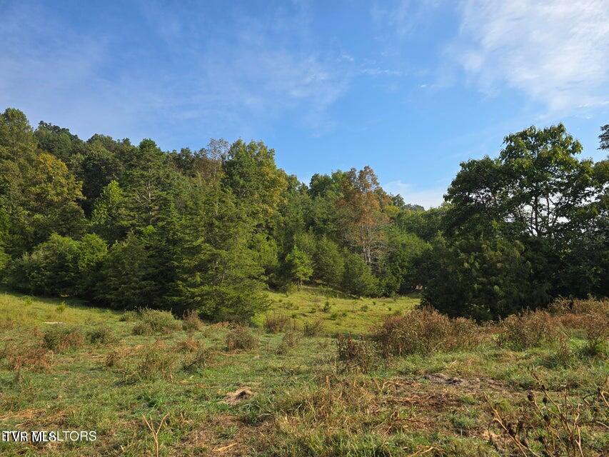 Tbd East Pumpkin Valley Road Eidson, TN 37731 - Photo 16 of 54 16