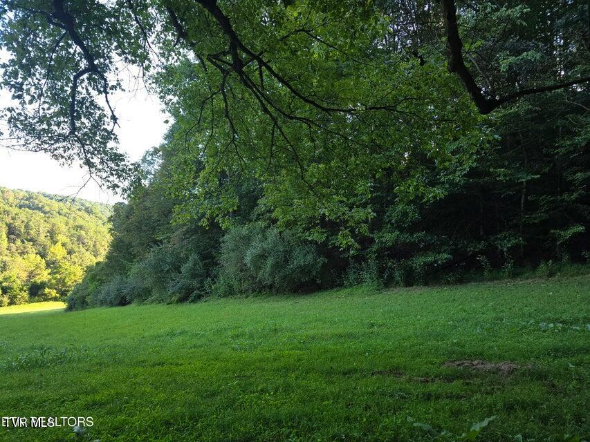 Tbd East Pumpkin Valley Road Eidson, TN 37731 - Photo 17 of 54 17