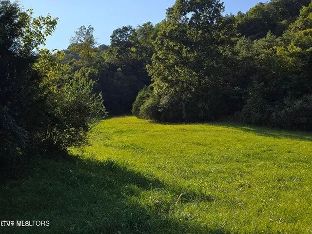 $568,700 | Tbd East Pumpkin Valley Road, Eidson, TN 37731