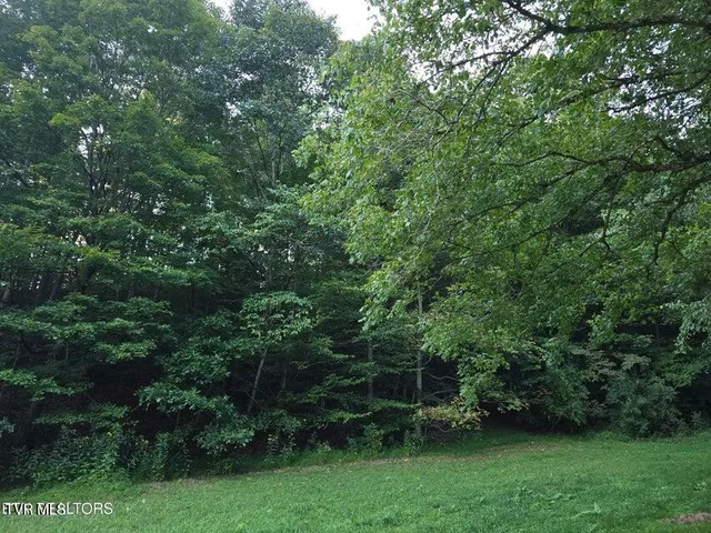 $568,700 | Tbd East Pumpkin Valley Road, Eidson, TN 37731