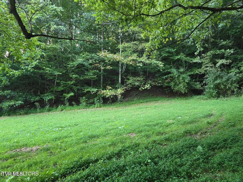 Tbd East Pumpkin Valley Road Eidson, TN 37731 - Photo 21 of 54 21