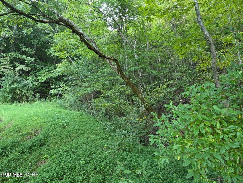 Tbd East Pumpkin Valley Road Eidson, TN 37731 - Photo 22 of 54 22