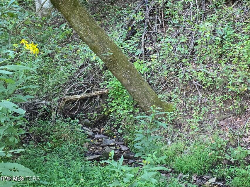 Tbd East Pumpkin Valley Road Eidson, TN 37731 - Photo 23 of 54 23