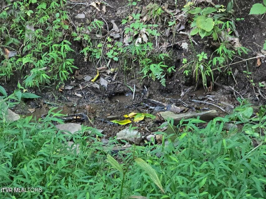 Tbd East Pumpkin Valley Road Eidson, TN 37731 - Photo 24 of 54 24