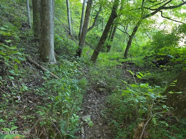 $568,700 | Tbd East Pumpkin Valley Road, Eidson, TN 37731