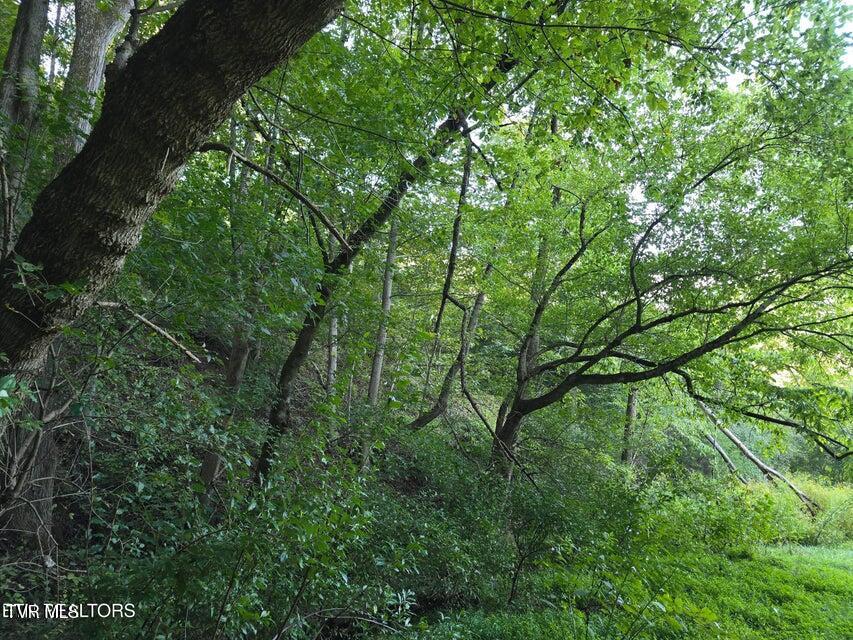 Tbd East Pumpkin Valley Road Eidson, TN 37731 - Photo 27 of 54 27