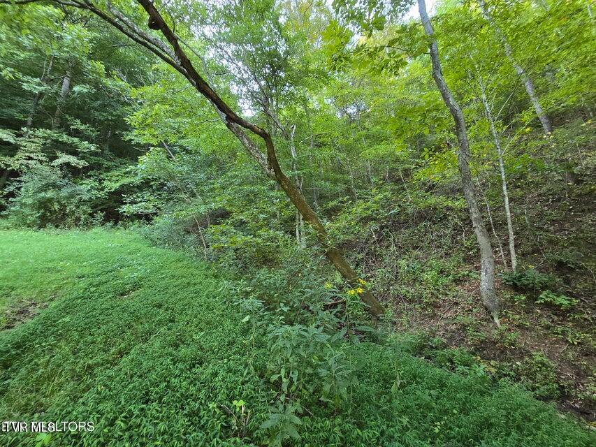 Tbd East Pumpkin Valley Road Eidson, TN 37731 - Photo 28 of 54 28