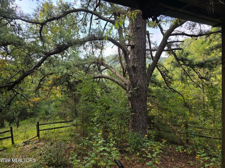 Tbd East Pumpkin Valley Road Eidson, TN 37731 - Photo 29 of 54 29