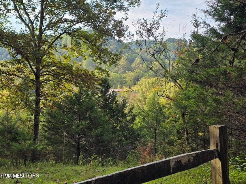 Tbd East Pumpkin Valley Road Eidson, TN 37731 - Photo 30 of 54 30