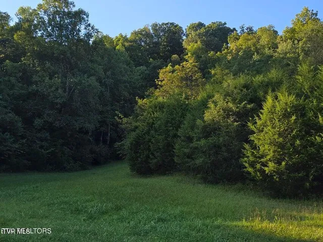 $568,700 | Tbd East Pumpkin Valley Road, Eidson, TN 37731