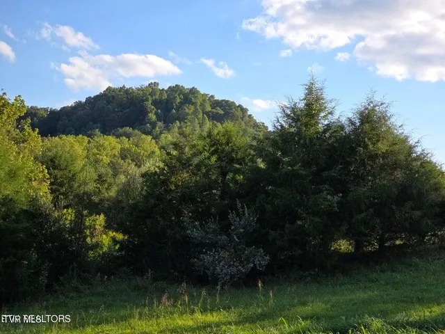 $568,700 | Tbd East Pumpkin Valley Road, Eidson, TN 37731