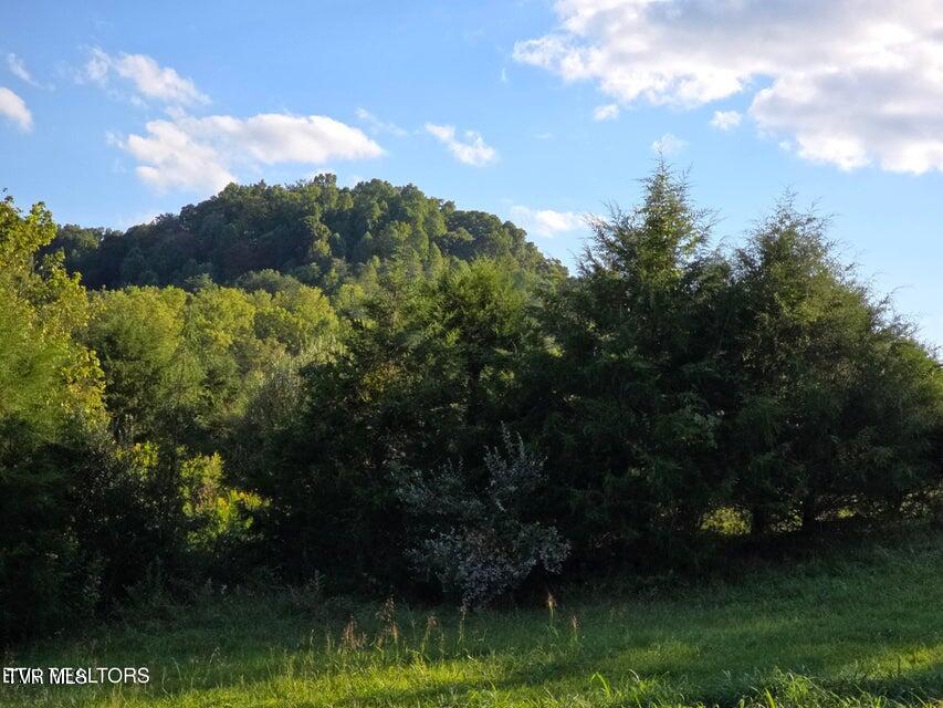 Tbd East Pumpkin Valley Road Eidson, TN 37731 - Photo 39 of 54 39