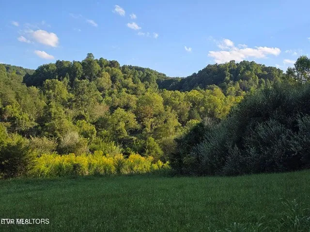 $568,700 | Tbd East Pumpkin Valley Road, Eidson, TN 37731