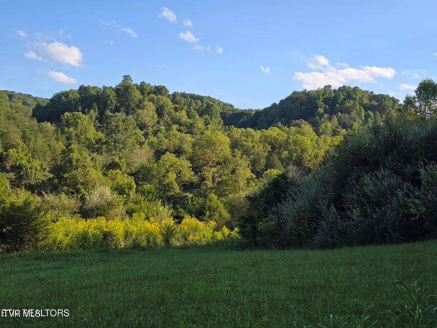Tbd East Pumpkin Valley Road Eidson, TN 37731 - Photo 44 of 54 44