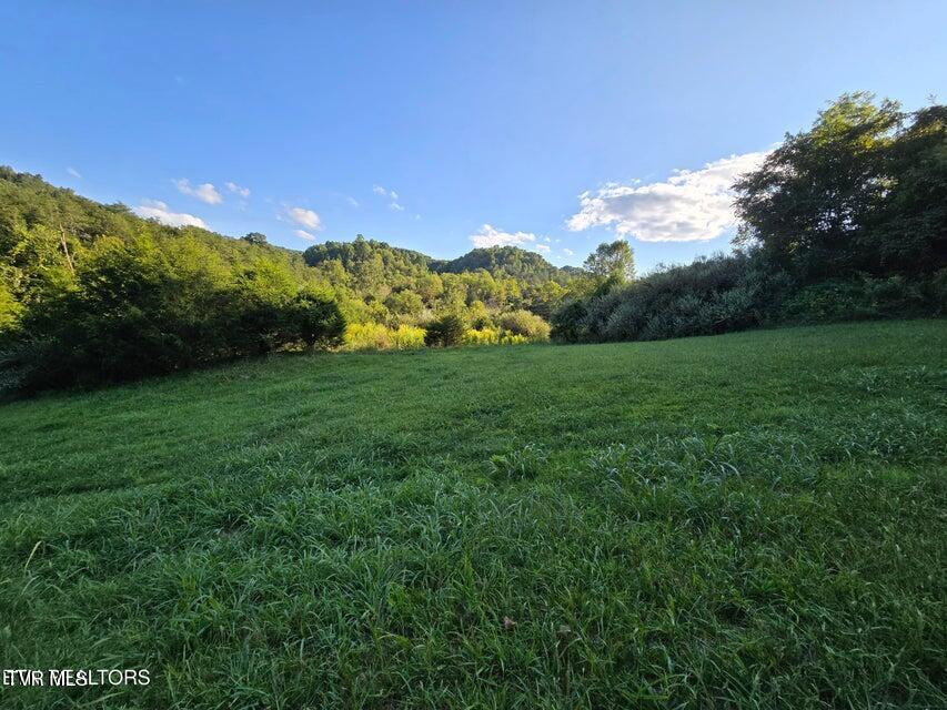 Tbd East Pumpkin Valley Road Eidson, TN 37731 - Photo 48 of 54 48