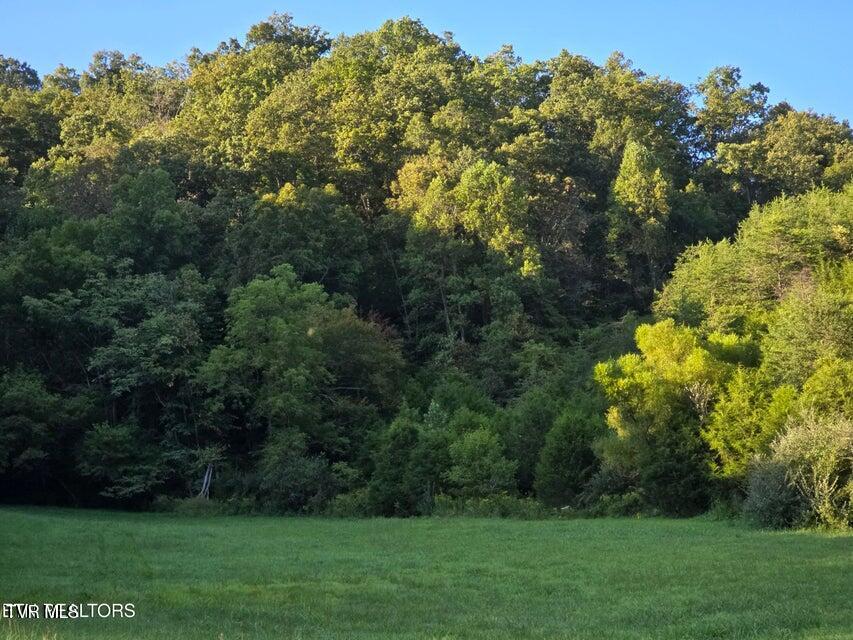 Tbd East Pumpkin Valley Road Eidson, TN 37731 - Photo 49 of 54 49