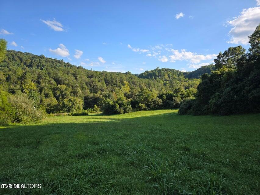 Tbd East Pumpkin Valley Road Eidson, TN 37731 - Photo 51 of 54 51