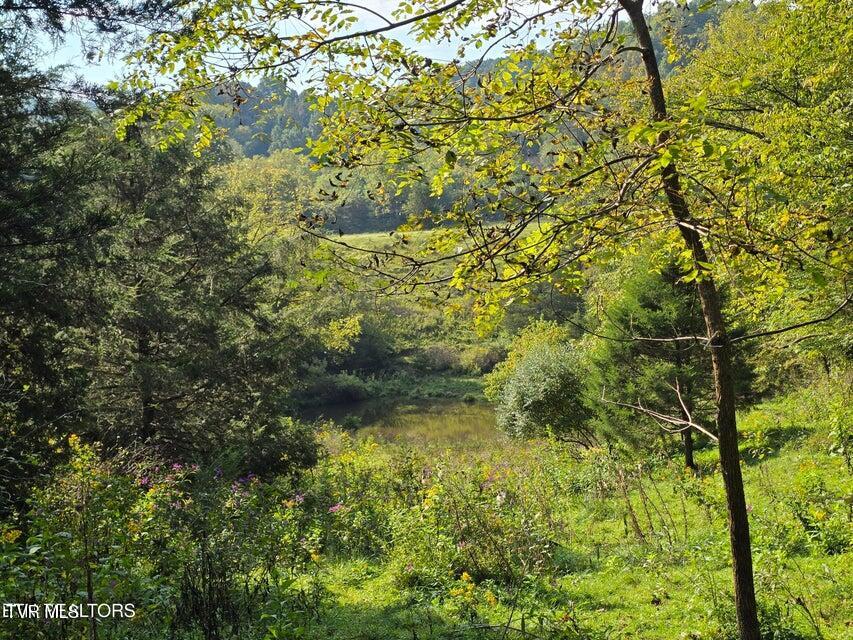 Tbd East Pumpkin Valley Road Eidson, TN 37731 - Photo 52 of 54 53
